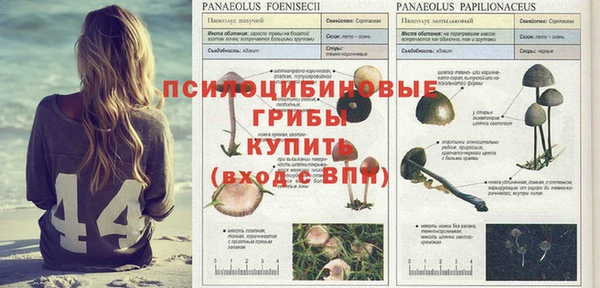меф Аркадак